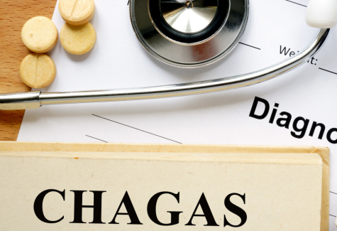 Alerta: aumento da doença de Chagas no Brasil 